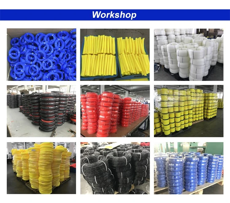 Workshop Workshop